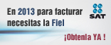 Facturaci�n Electr�nica
