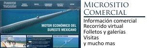 Micrositio
