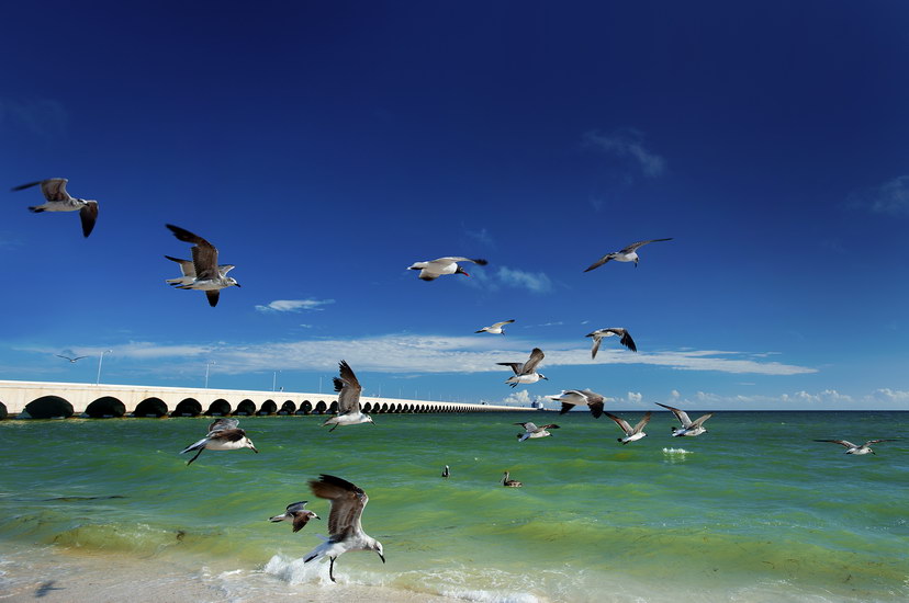 Resultado de imagen para puerto progreso yucatÃ¡n